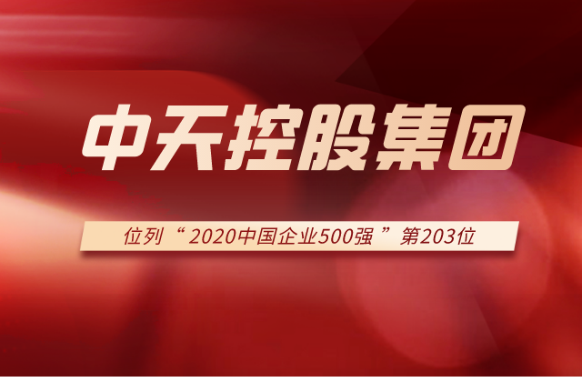 918搏天堂集团列2020中国企业500强第203位！